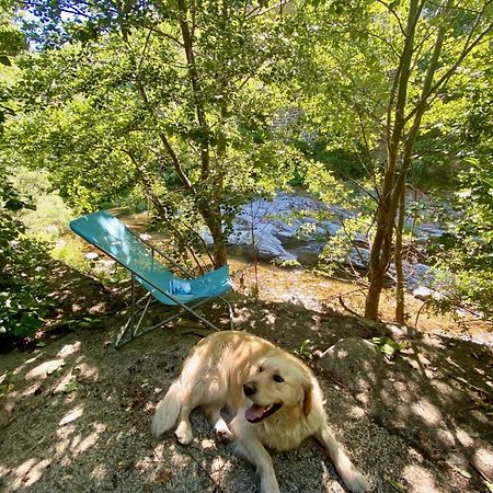 Maison Les Pieds Dans L'Eau Villefort  Kültér fotó