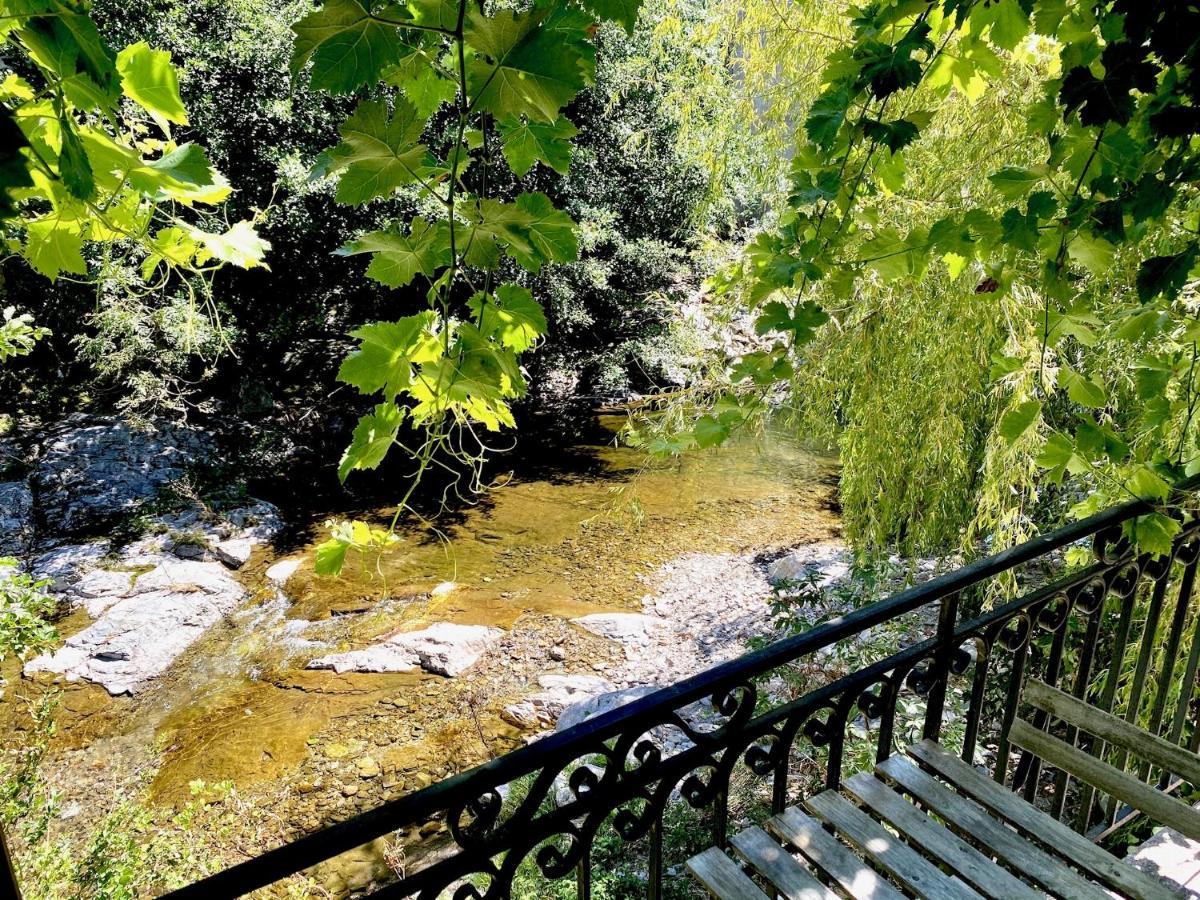 Maison Les Pieds Dans L'Eau Villefort  Kültér fotó